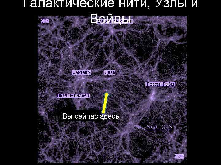 Галактические нити, Узлы и Войды Вы сейчас здесь 