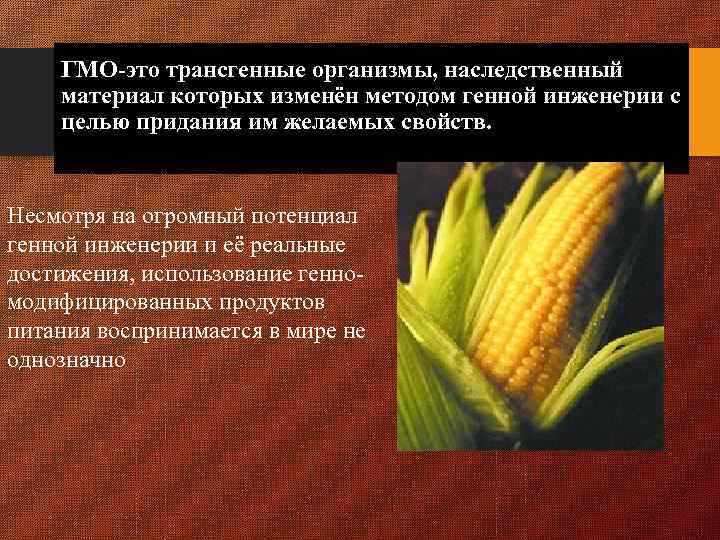 ГМО-это трансгенные организмы, наследственный материал которых изменён методом генной инженерии с целью придания им