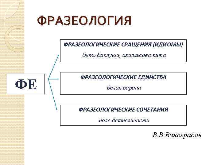 ФРАЗЕОЛОГИЯ ФРАЗЕОЛОГИЧЕСКИЕ СРАЩЕНИЯ (ИДИОМЫ) бить баклуши, ахиллесова пята ФЕ ФРАЗЕОЛОГИЧЕСКИЕ ЕДИНСТВА белая ворона ФРАЗЕОЛОГИЧЕСКИЕ