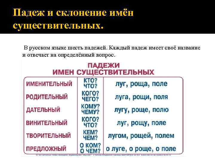 Языком склонение и падеж