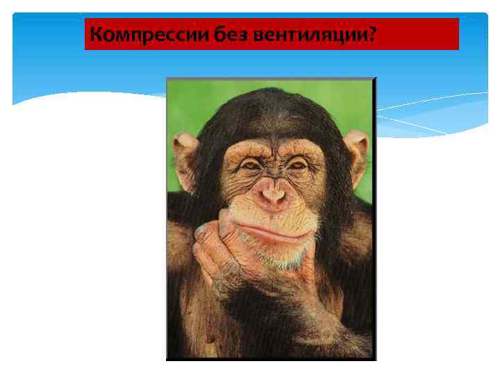 Компрессии без вентиляции? 