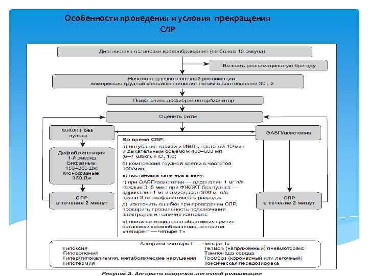 Особенности проведения и условия прекращения СЛР 