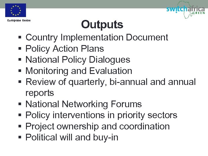 European Union § § § § § Outputs Country Implementation Document Policy Action Plans
