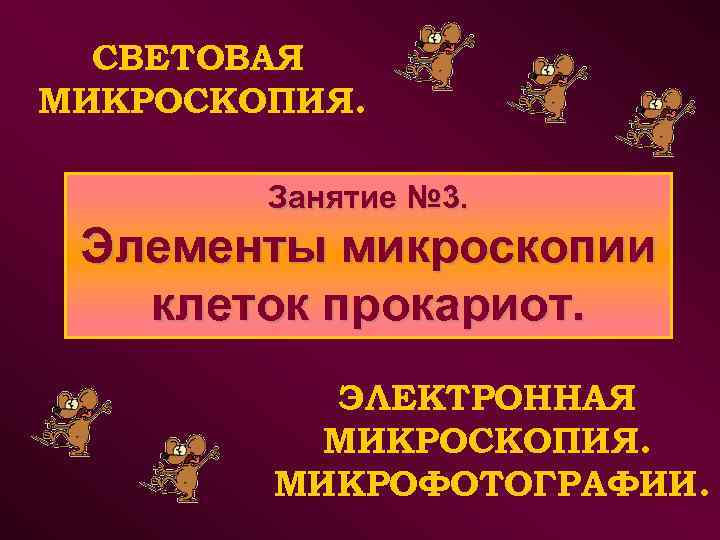 СВЕТОВАЯ МИКРОСКОПИЯ. Занятие № 3. Элементы микроскопии клеток прокариот. ЭЛЕКТРОННАЯ МИКРОСКОПИЯ. МИКРОФОТОГРАФИИ. 