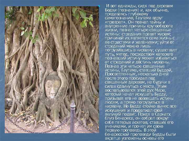 n И вот однажды, сидя под деревом Бодхи (познания) и, как обычно, предаваясь глубокому