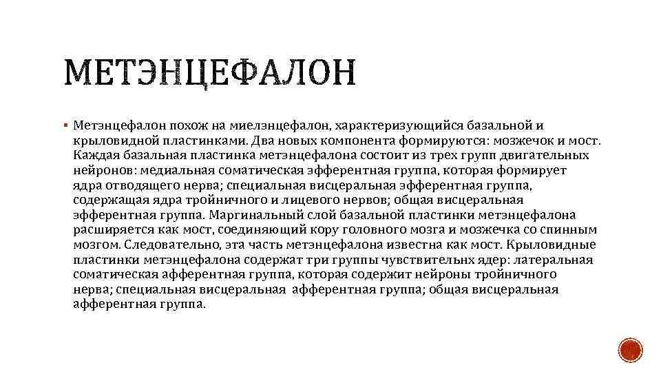 § Метэнцефалон похож на миелэнцефалон, характеризующийся базальной и крыловидной пластинками. Два новых компонента формируются: