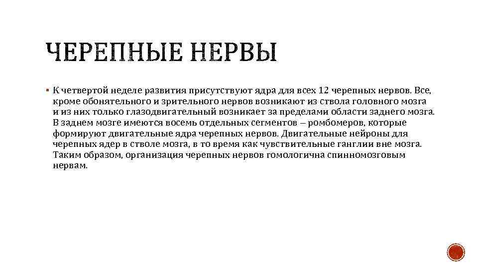 § К четвертой неделе развития присутствуют ядра для всех 12 черепных нервов. Все, кроме