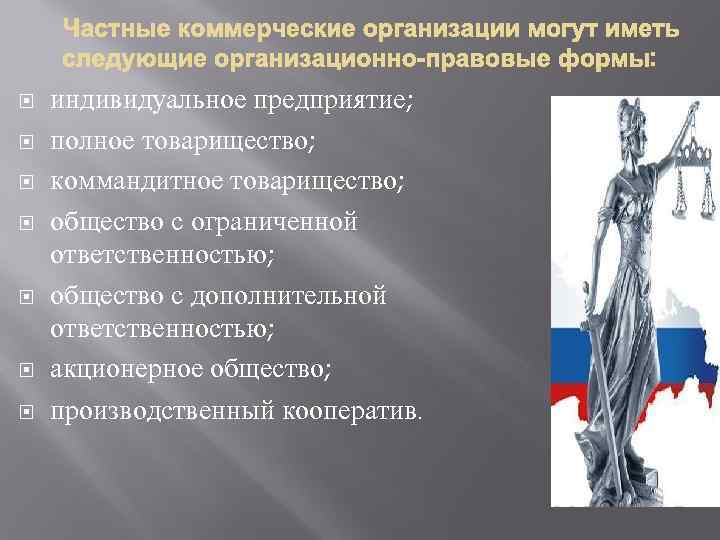  индивидуальное предприятие; полное товарищество; коммандитное товарищество; общество с ограниченной ответственностью; общество с дополнительной