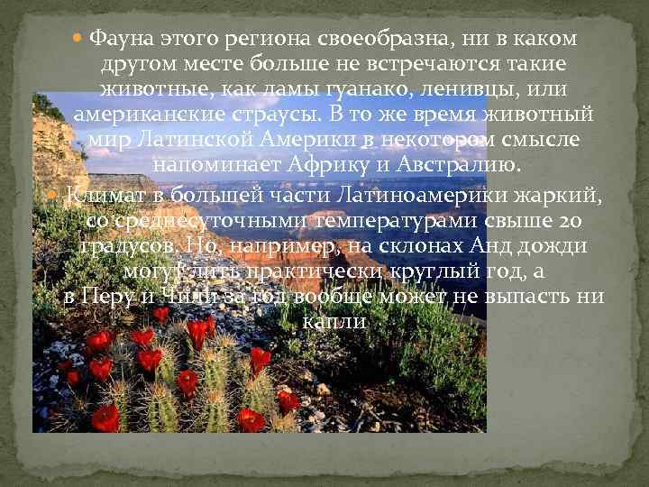  Фауна этого региона своеобразна, ни в каком другом месте больше не встречаются такие
