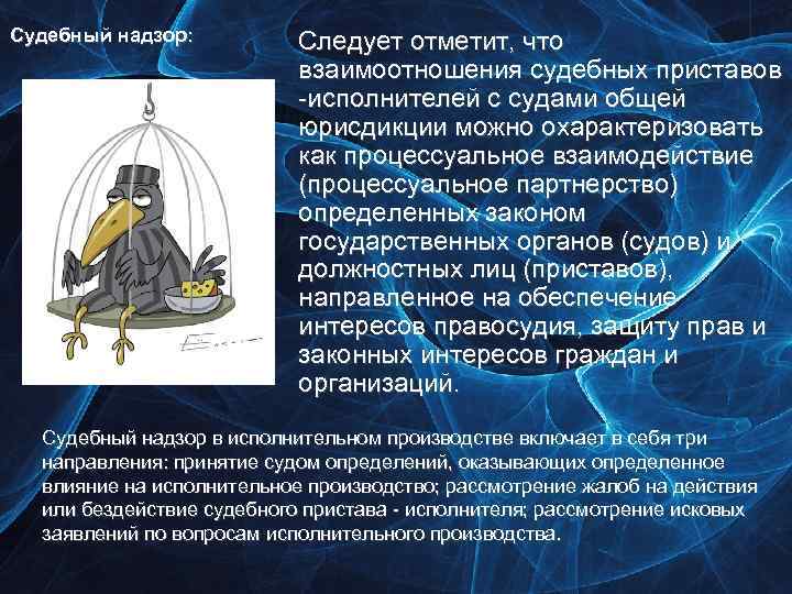 Судебный надзор: Следует отметит, что взаимоотношения судебных приставов -исполнителей с судами общей юрисдикции можно
