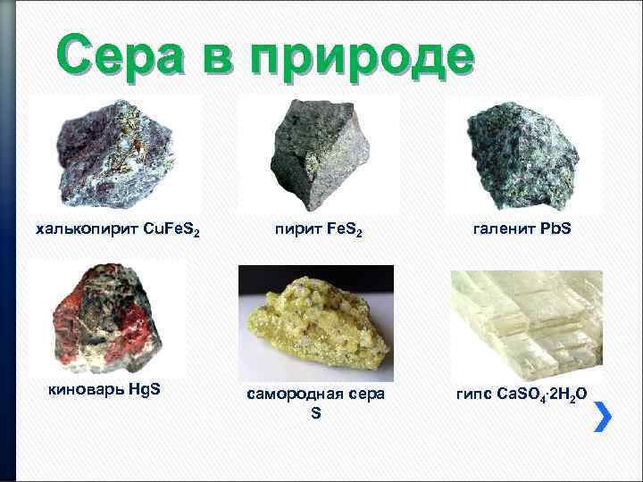 Сера в природе халькопирит Cu. Fe. S 2 киноварь Hg. S пирит Fe. S