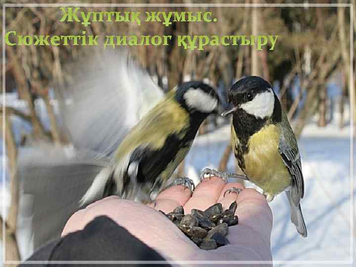 Жұптық жұмыс. Сюжеттік диалог құрастыру 