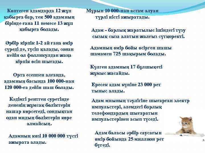 Көптеген адамдарда 12 жұп қабырға бар, тек 500 адамның бірінде ғана 11 немесе 13