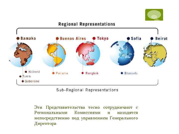 Эти Представительства тесно сотрудничают с Региональными Комиссиями и находятся непосредственно под управлением Генерального Директора