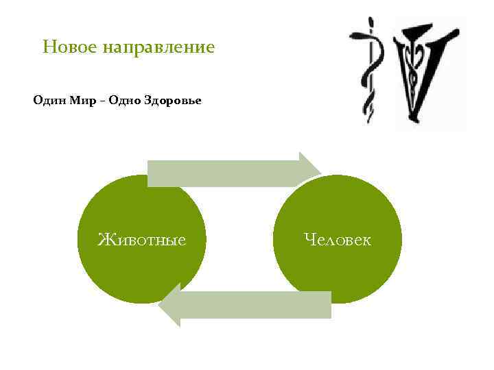 Новое направление Один Мир – Одно Здоровье Животные Человек 