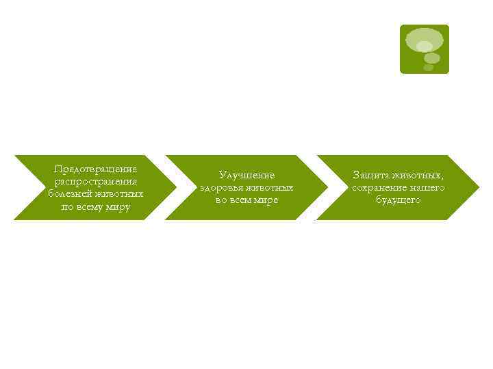 Предотвращение распространения болезней животных по всему миру Улучшение здоровья животных во всем мире Защита