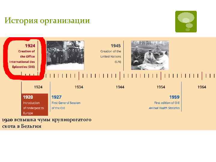 История организации 1920 вспышка чумы крупнорогатого скота в Бельгии 