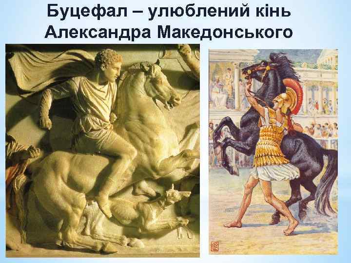 Буцефал – улюблений кінь Александра Македонського 