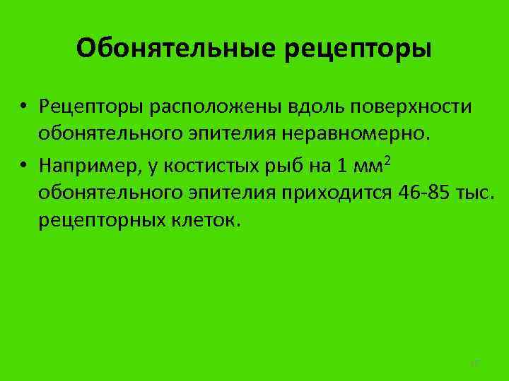 Обонятельные рецепторы • Рецепторы расположены вдоль поверхности обонятельного эпителия неравномерно. • Например, у костистых