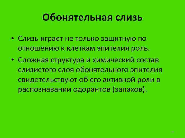 Обонятельная слизь • Слизь играет не только защитную по отношению к клеткам эпителия роль.