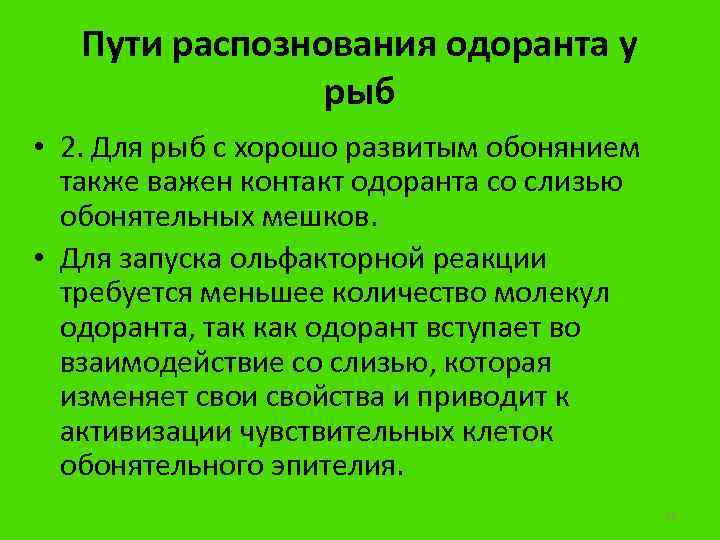 Пути распознования одоранта у рыб • 2. Для рыб с хорошо развитым обонянием также