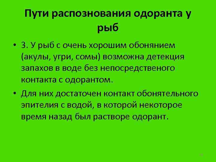 Пути распознования одоранта у рыб • 3. У рыб с очень хорошим обонянием (акулы,