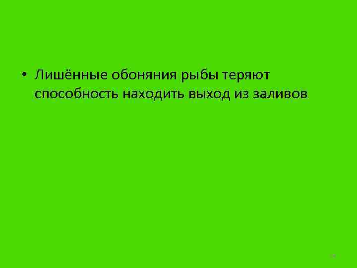  • Лишённые обоняния рыбы теряют способность находить выход из заливов 24 