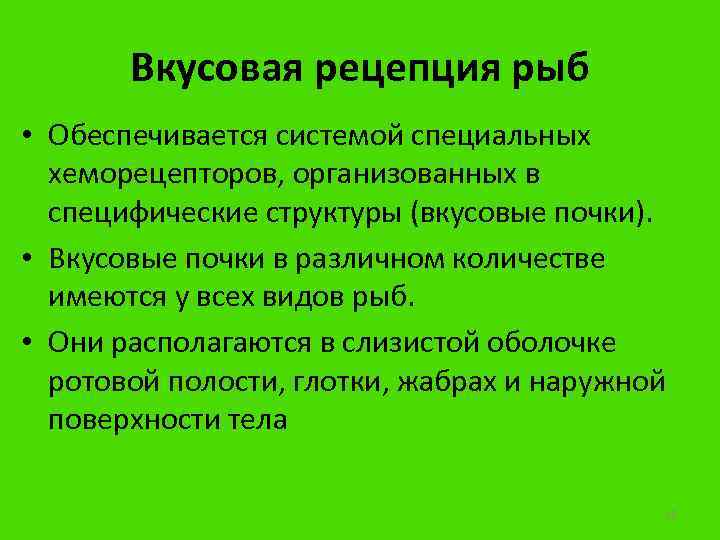 Вкусовая рецепция рыб • Обеспечивается системой специальных хеморецепторов, организованных в специфические структуры (вкусовые почки).