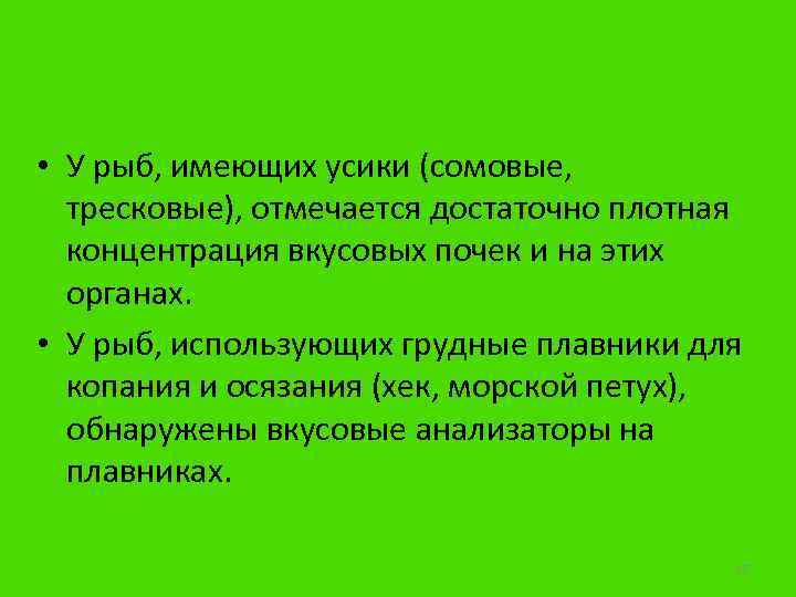  • У рыб, имеющих усики (сомовые, тресковые), отмечается достаточно плотная концентрация вкусовых почек