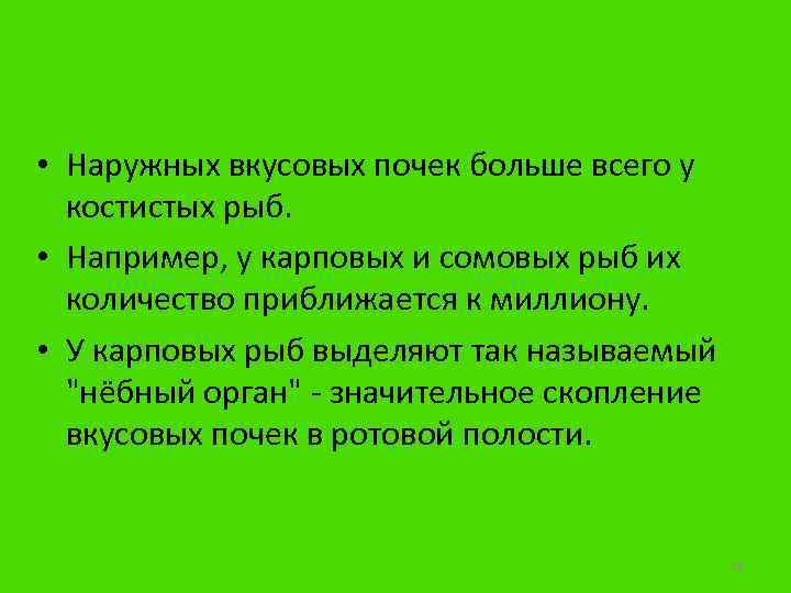  • Наружных вкусовых почек больше всего у костистых рыб. • Например, у карповых