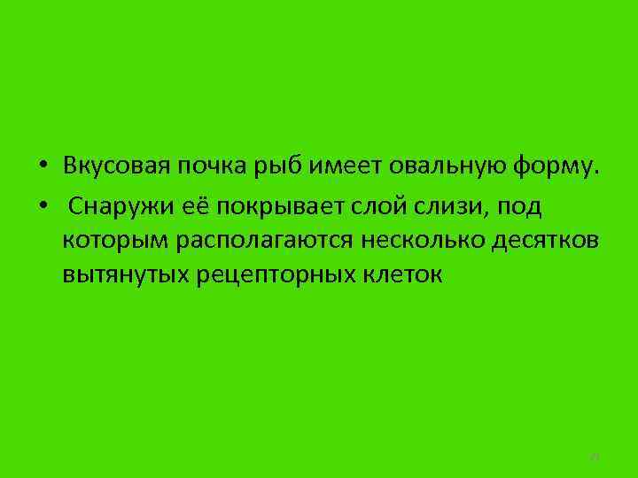  • Вкусовая почка рыб имеет овальную форму. • Снаружи её покрывает слой слизи,