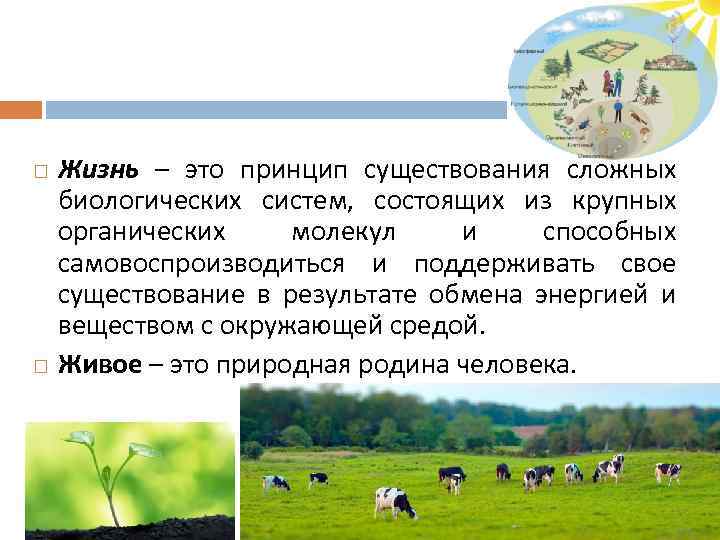  Жизнь – это принцип существования сложных биологических систем, состоящих из крупных органических молекул