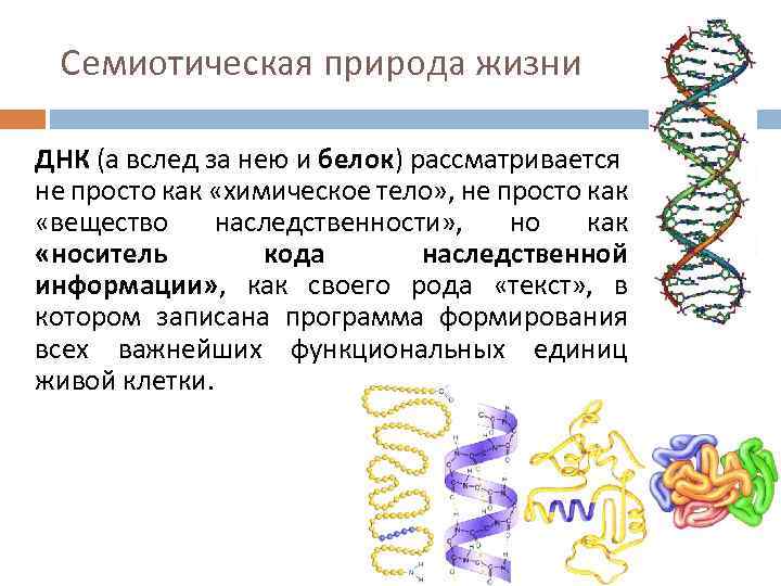 Семиотическая природа жизни ДНК (а вслед за нею и белок) рассматривается не просто как