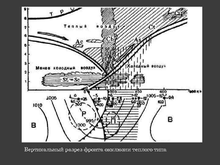 Вертикальный разрез фронта окклюзии теплого типа 