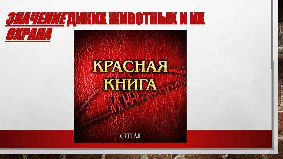 ЗНАЧЕНИЕ ДИКИХ ЖИВОТНЫХ И ИХ ОХРАНА 