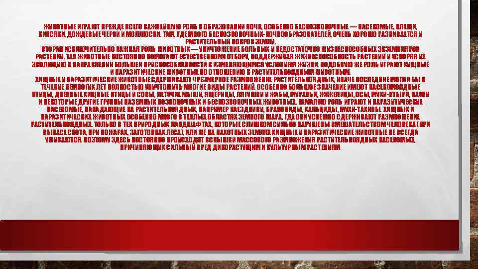 ЖИВОТНЫЕ ИГРАЮТ ПРЕЖДЕ ВСЕГО ВАЖНЕЙШУЮ РОЛЬ В ОБРАЗОВАНИИ ПОЧВ, ОСОБЕННО БЕСПОЗВОНОЧНЫЕ — НАСЕКОМЫЕ, КЛЕЩИ,