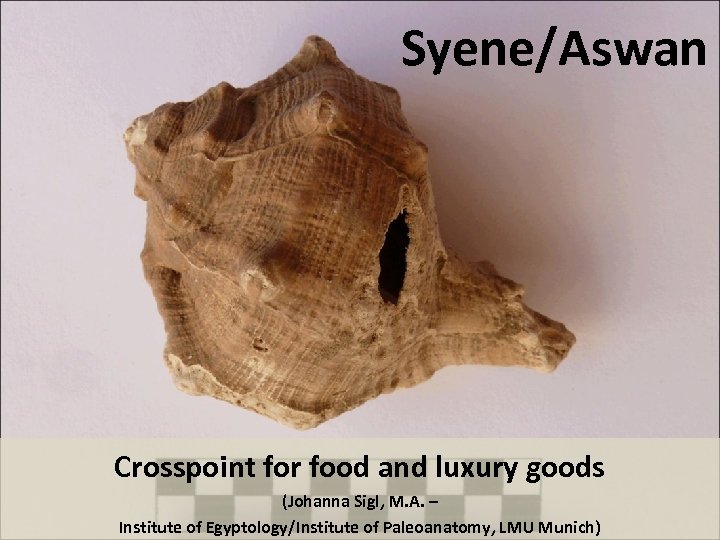 Syene/Aswan Crosspoint for food and luxury goods (Johanna Sigl, M. A. – Institute of