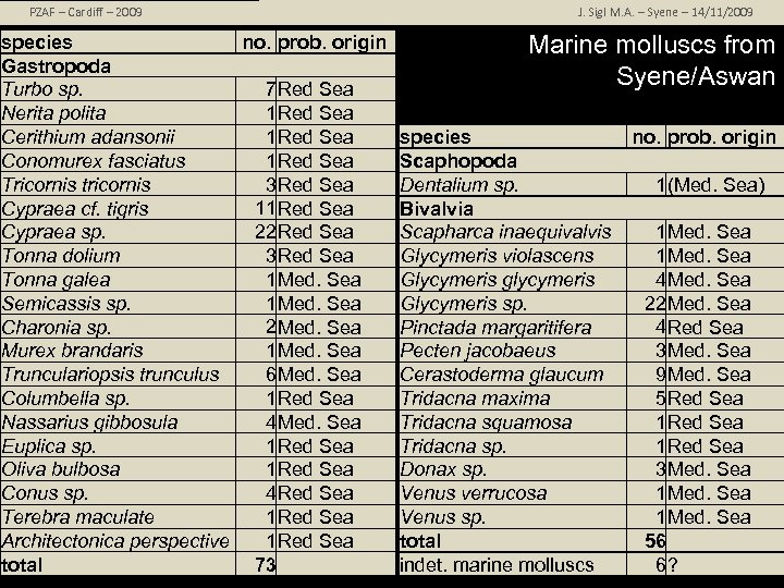 PZAF – Cardiff – 2009 no. prob. origin species Gastropoda 7 Red Sea Turbo