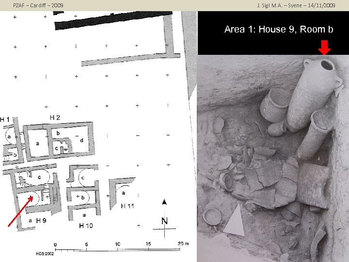 PZAF – Cardiff – 2009 J. Sigl M. A. – Syene – 14/11/2009 Area