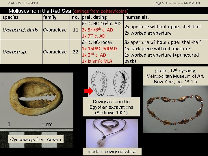 PZAF – Cardiff – 2009 J. Sigl M. A. – Syene – 14/11/2009 Molluscs