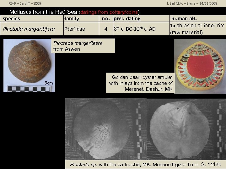 PZAF – Cardiff – 2009 J. Sigl M. A. – Syene – 14/11/2009 Molluscs
