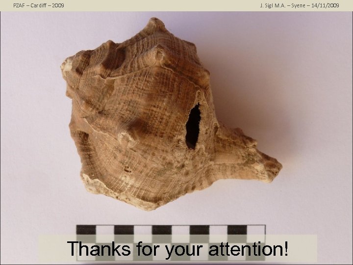 PZAF – Cardiff – 2009 J. Sigl M. A. – Syene – 14/11/2009 Thanks