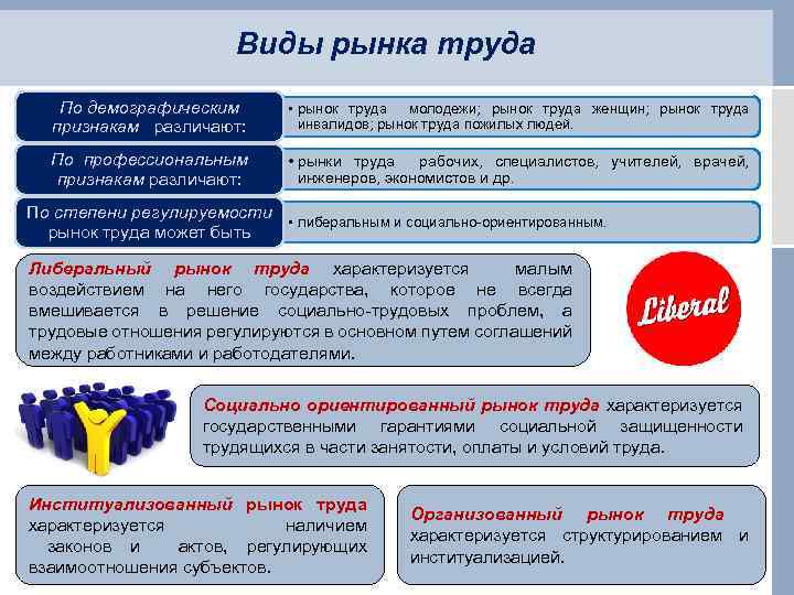 Виды рынка труда По демографическим признакам различают: • рынок труда молодежи; рынок труда женщин;