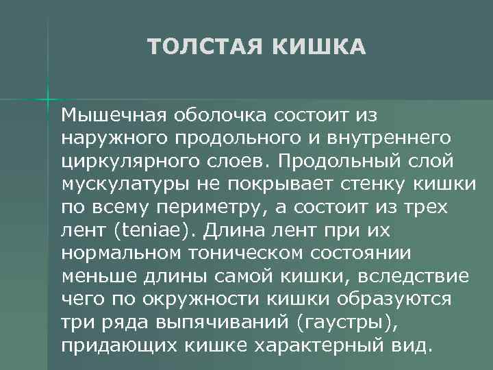 ТОЛСТАЯ КИШКА Мышечная оболочка состоит из наружного продольного и внутреннего циркулярного слоев. Продольный слой