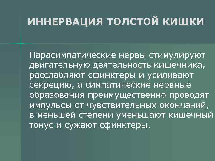 ИННЕРВАЦИЯ ТОЛСТОЙ КИШКИ Парасимпатические нервы стимулируют двигательную деятельность кишечника, расслабляют сфинктеры и усиливают секрецию,