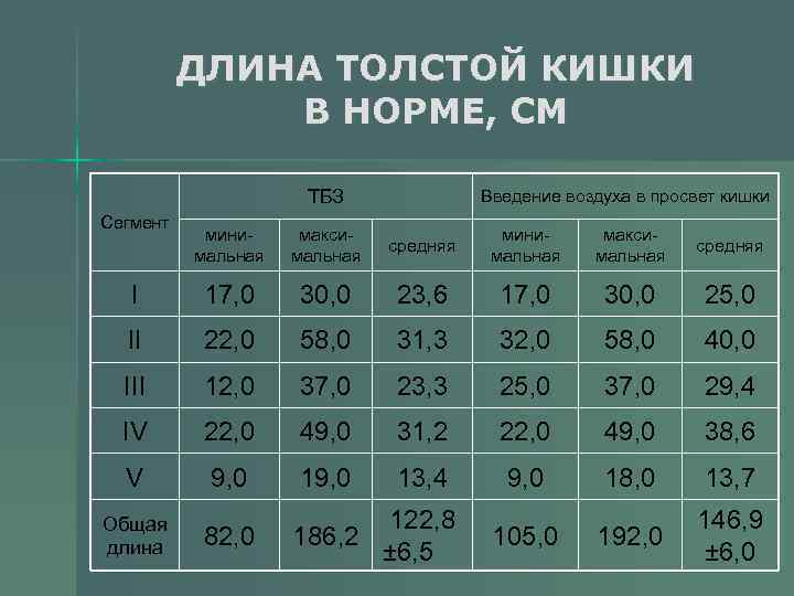 Сколько метров кишка у взрослого