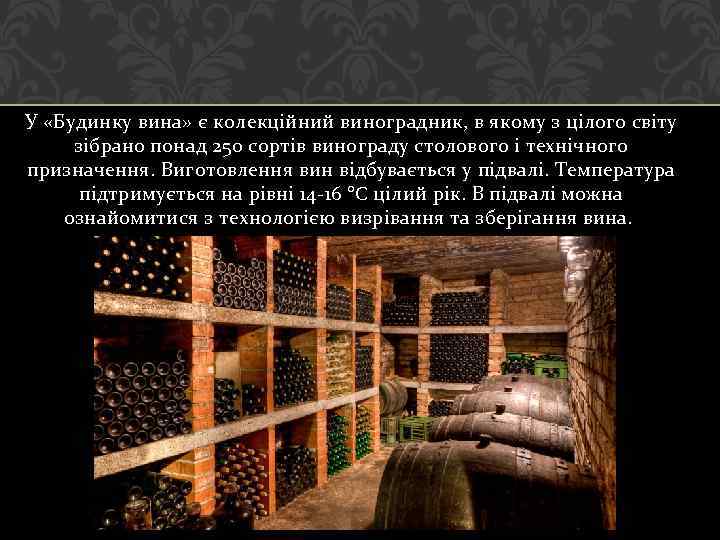 У «Будинку вина» є колекційний виноградник, в якому з цілого світу зібрано понад 250