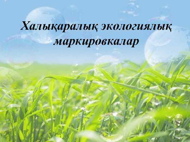 Халықаралық экологиялық маркировкалар 