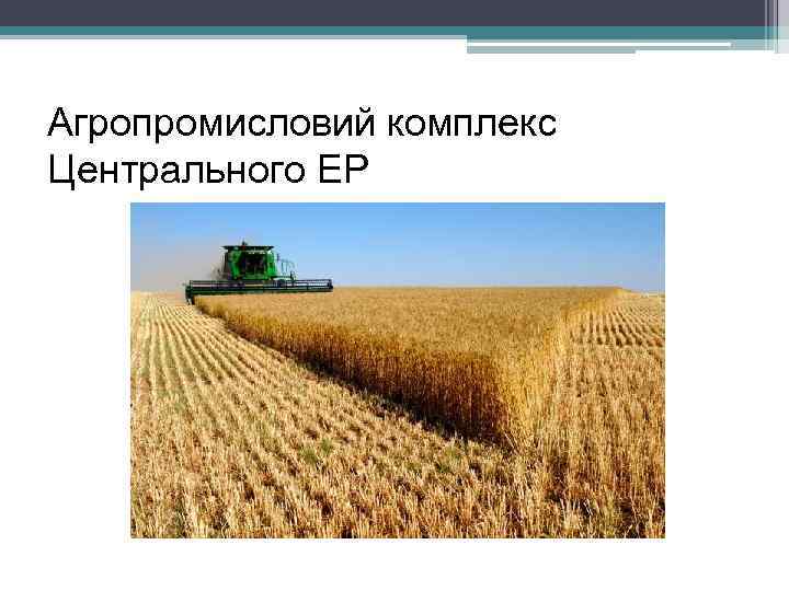 Агропромисловий комплекс Центрального ЕР 