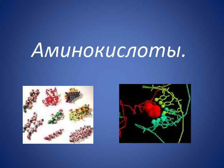 Аминокислоты. 